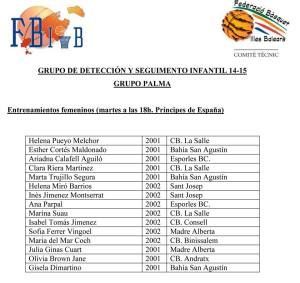 Grup deteccio i seguiment infantil